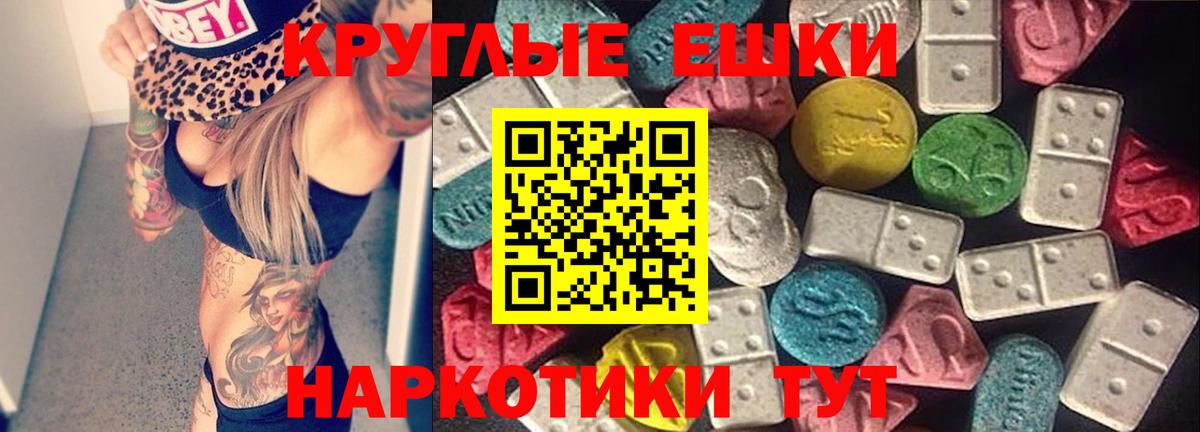 Ecstasy бентли Гай