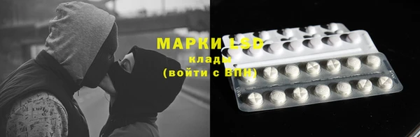 ПСИЛОЦИБИНОВЫЕ ГРИБЫ Баксан