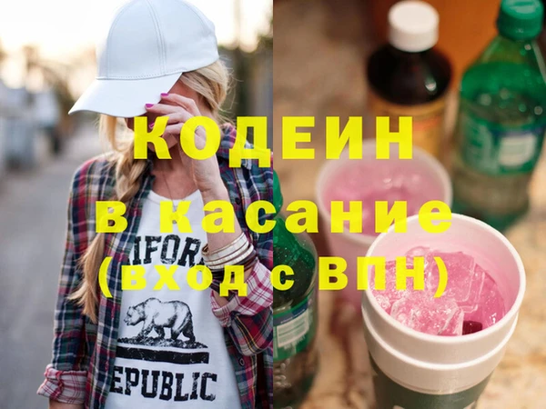 индика Снежногорск