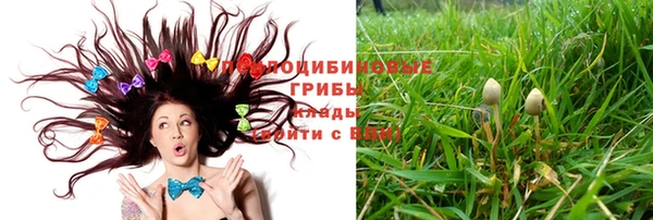 ПСИЛОЦИБИНОВЫЕ ГРИБЫ Баксан