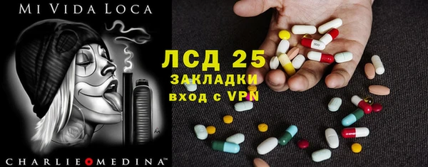 ПСИЛОЦИБИНОВЫЕ ГРИБЫ Баксан
