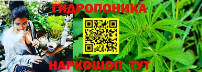 хмурый Бийск