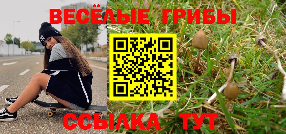 Галлюциногенные грибы ЛСД Гай