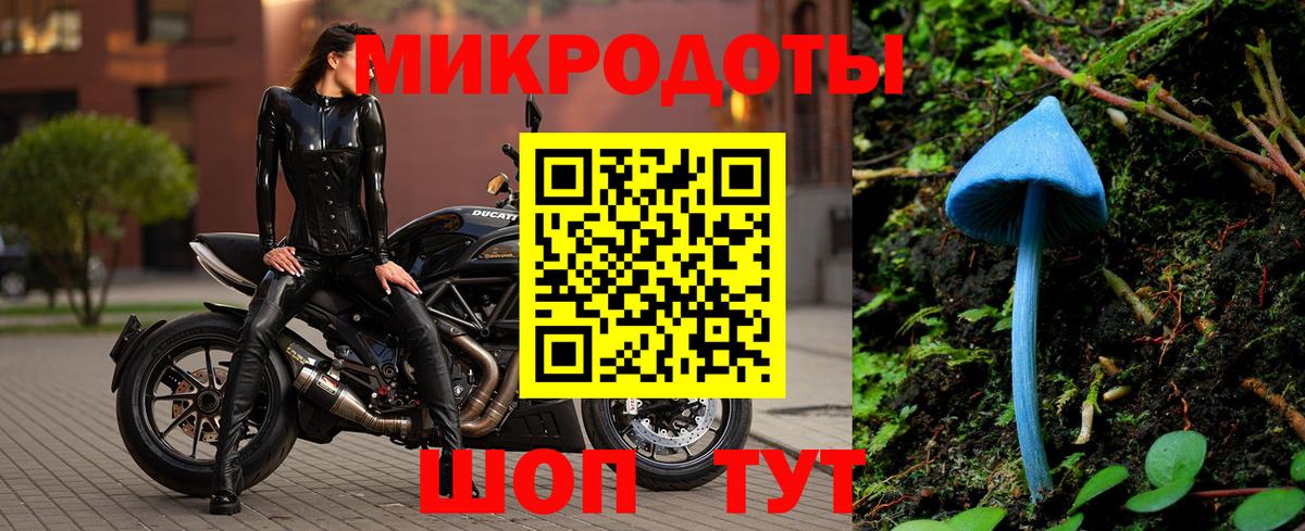 Галлюциногенные грибы Psilocybe Гай